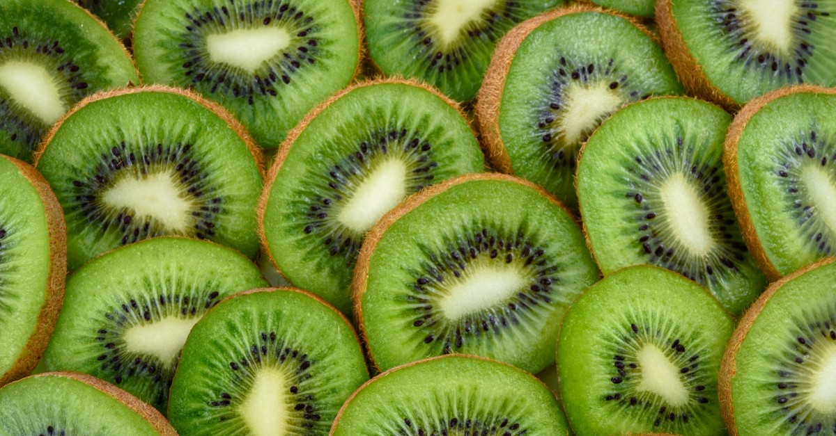 Agricultura invertir prop de 350.000 en 5 anys per al cultiu del kiwi a la Ribera dEbre