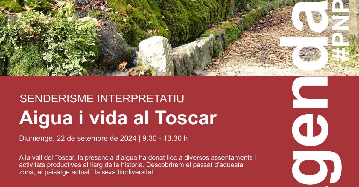 Senderisme interpretatiu: Aigua i vida al Toscar Senderisme interpretatiu: Aigua i vida al Toscar
