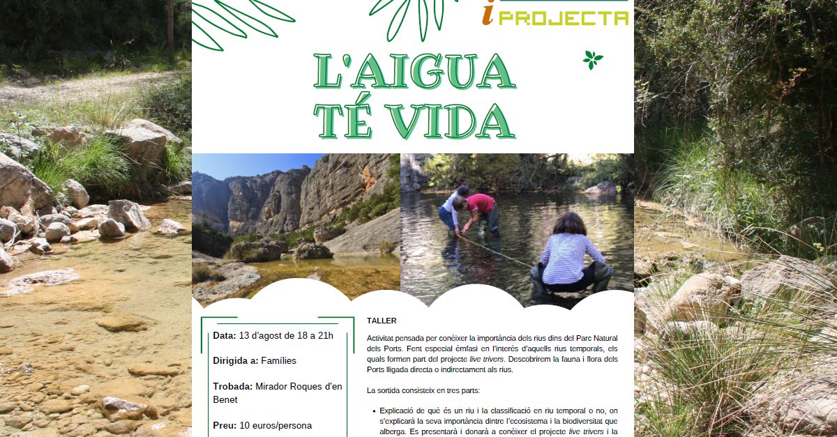 Activitat d�educaci� ambiental: L�aigua t� vida