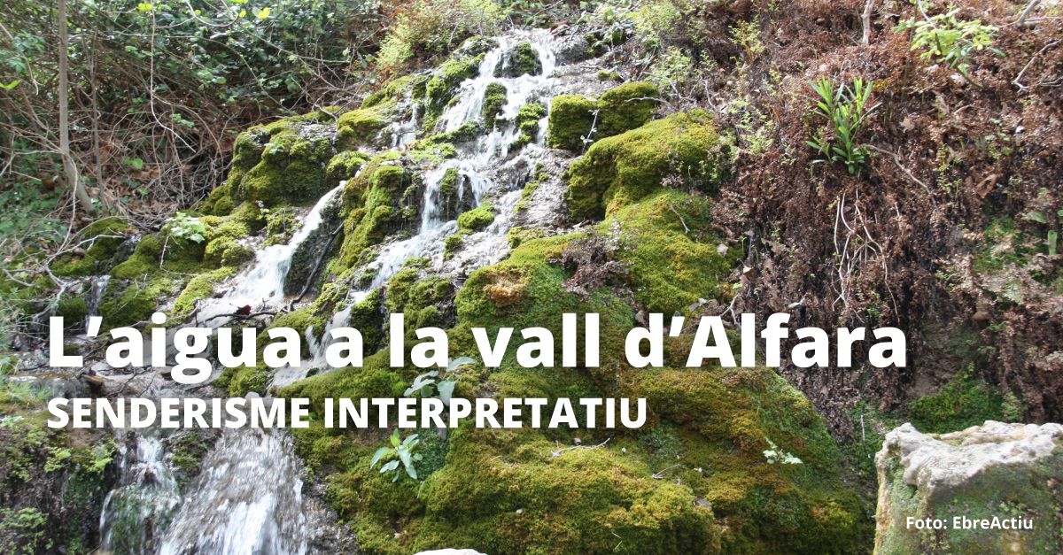 Senderisme interpretatiu: L�aigua a la vall d�Alfara