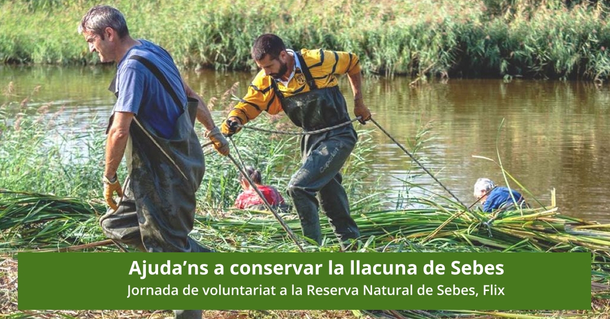 Ajuda�ns a conservar la Llacuna de Sebes
