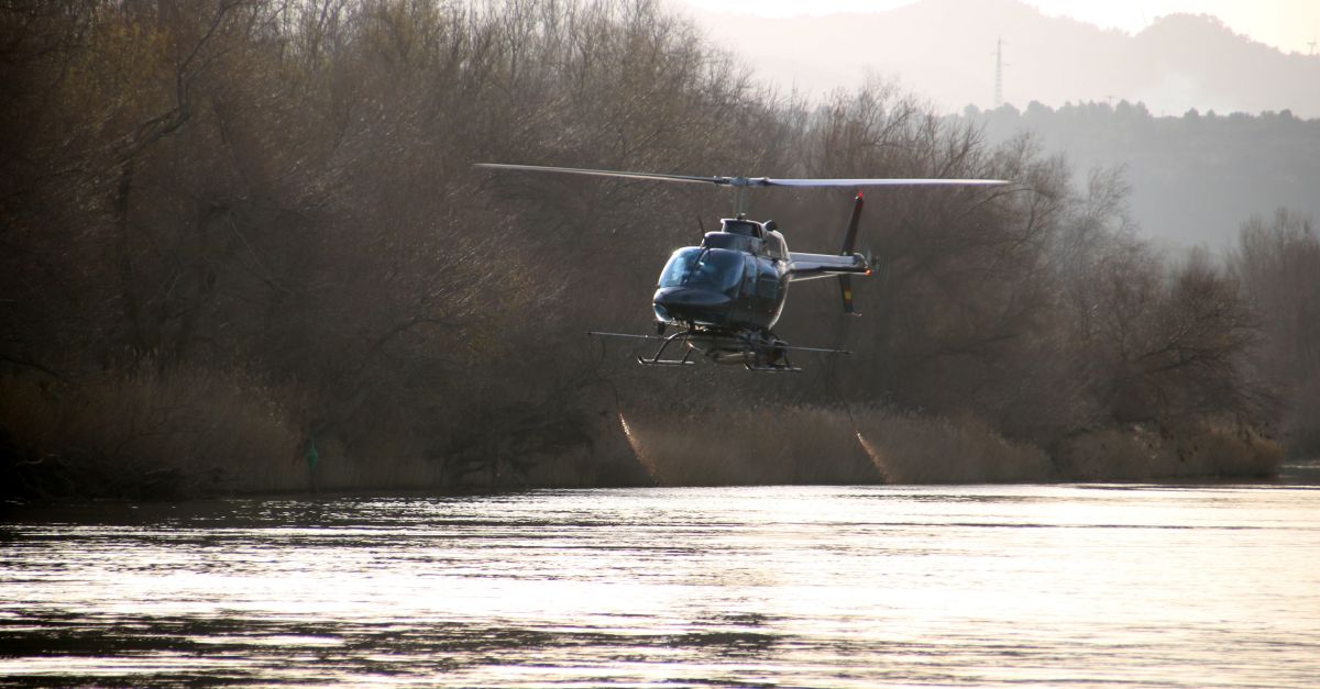 Els municipis del Baix Ebre pagaran part dels tractaments de la mosca negra en funci de la poblaci i la faana fluvial | EbreActiu.cat, revista digital d’oci actiu | Terres de l’Ebre ...