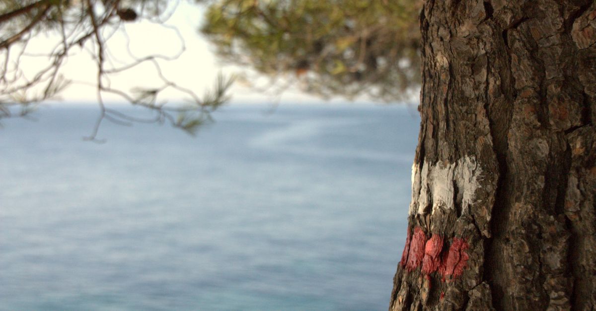 Els ajuntaments de lAmpolla, el Perell i lAmetlla de Mar impulsen un organisme per gestionar conjuntament el GR-92