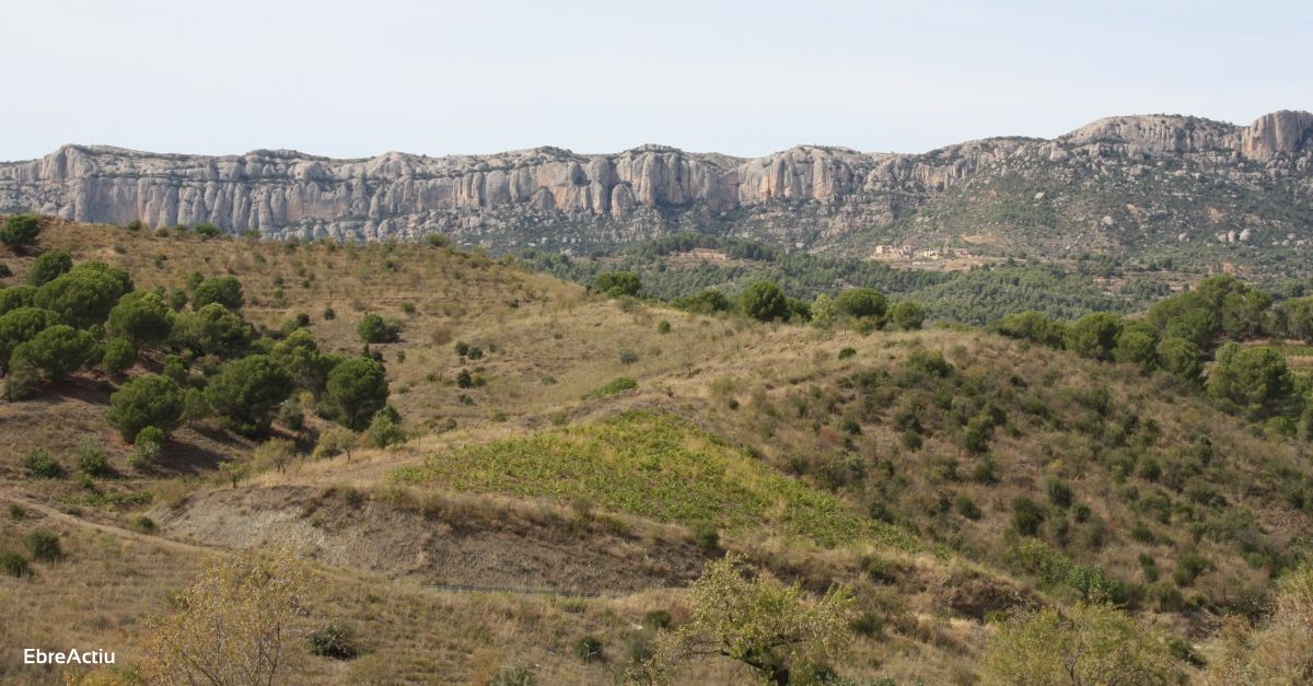 La Diputació de Tarragona ha destinat 35.000 euros al Parc Natural de Montsant durant el 2020 | EbreActiu.cat, revista digital d’oci actiu | Terres de l’Ebre ... La Diputació de Tarragona ha destinat 35.000 euros al Parc Natural de Montsant durant el 2020 | EbreActiu.cat, revista digital d’oci actiu | Terres de l’Ebre ...