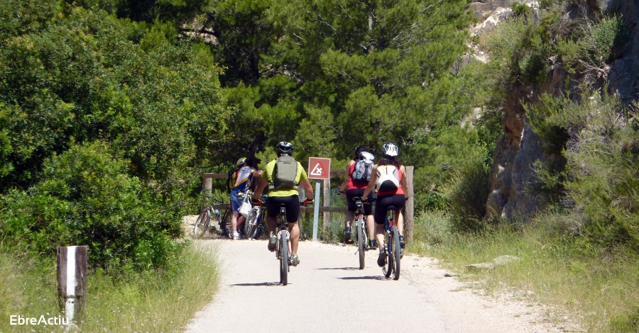 El Govern de la Generalitat de Catalunya activa una línia d’ajuts per donar suport a microempreses i professionals del sector turístic afectats per la COVID-19 | EbreActiu.cat, revista digital d’oci actiu | Terres de l’Ebre ... El Govern de la Generalitat de Catalunya activa una línia d’ajuts per donar suport a microempreses i professionals del sector turístic afectats per la COVID-19 | EbreActiu.cat, revista digital d’oci actiu | Terres de l’Ebre ...