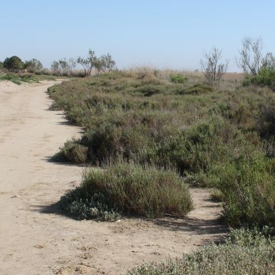 lbum: Bassa de les Olles