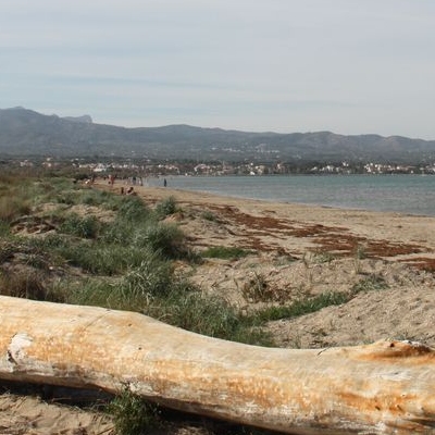 lbum: Bassa de les Olles