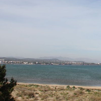 �lbum: Bassa de les Olles (l&rsquo;Ampolla, delta del Ebro)