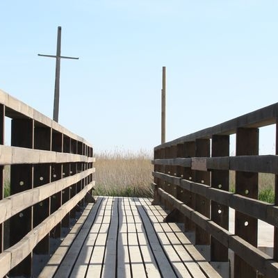 �lbum: Bassa de les Olles (l&rsquo;Ampolla, delta del Ebro)