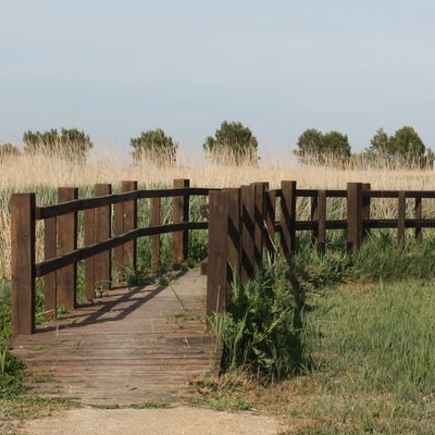 lbum: Bassa de les Olles