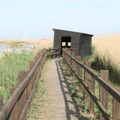 lbum: Bassa de les Olles