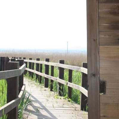 �lbum: Bassa de les Olles (l&rsquo;Ampolla, delta del Ebro)