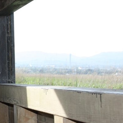 �lbum: Bassa de les Olles (l&rsquo;Ampolla, delta del Ebro)