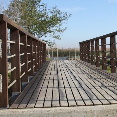 �lbum: Bassa de les Olles (l&rsquo;Ampolla, delta del Ebro)