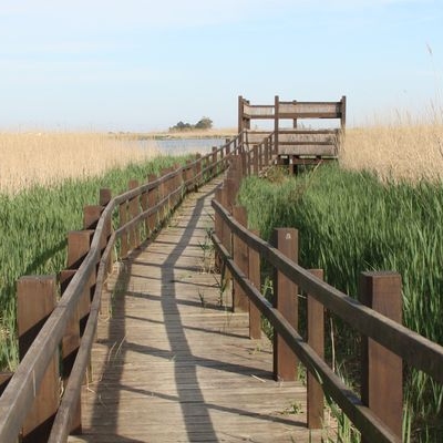 �lbum: Bassa de les Olles