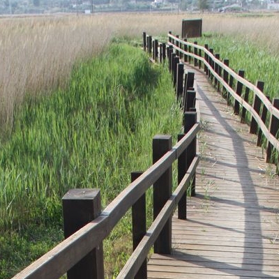 �lbum: Bassa de les Olles (l&rsquo;Ampolla, delta del Ebro)