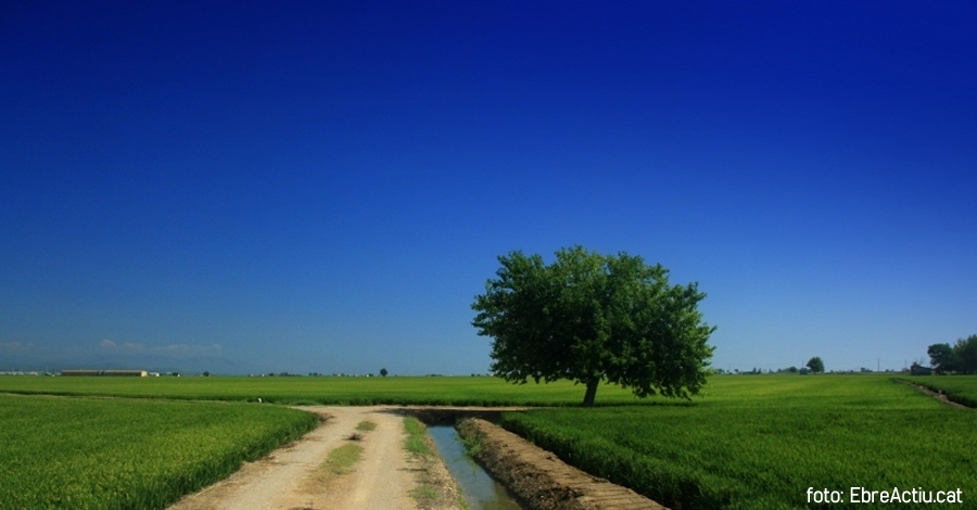 lbum: delta de lEbre