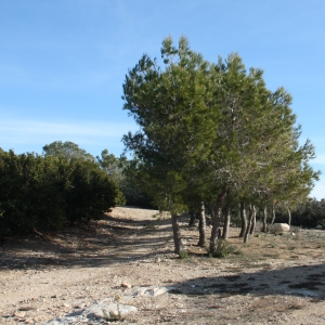 �lbum: ruta per Ermita de Solicr� - Torre de Campred� - Casa del Prat