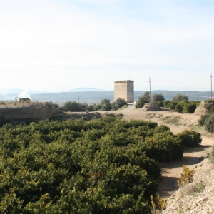 �lbum: ruta per Ermita de Solicr� - Torre de Campred� - Casa del Prat