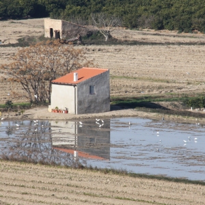 �lbum: ruta per Ermita de Solicr� - Torre de Campred� - Casa del Prat