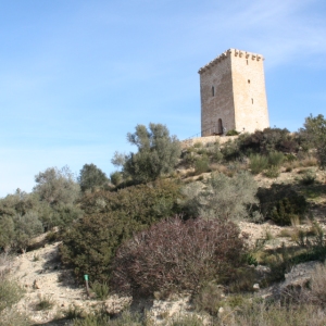 �lbum: ruta per Ermita de Solicr� - Torre de Campred� - Casa del Prat
