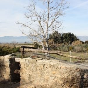�lbum: ruta per Ermita de Solicr� - Torre de Campred� - Casa del Prat