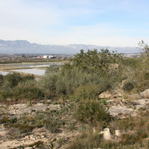 �lbum: ruta per Ermita de Solicr� - Torre de Campred� - Casa del Prat