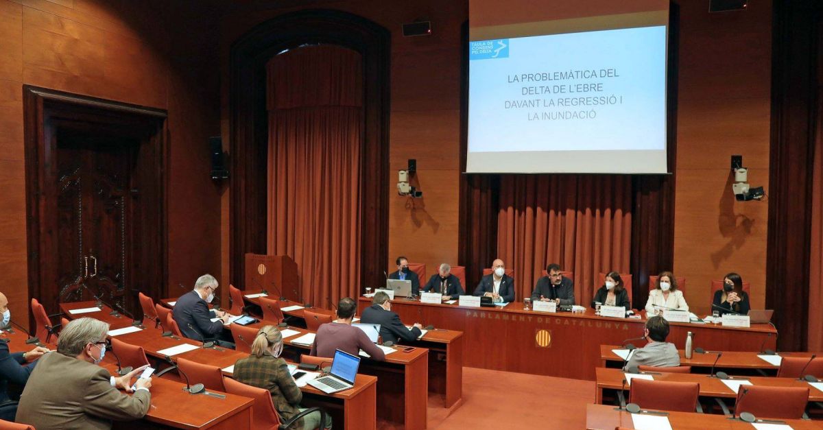 Alcaldes del delta de l’Ebre reclamen al Parlament consens entre administracions i inversions per preservar l’espai