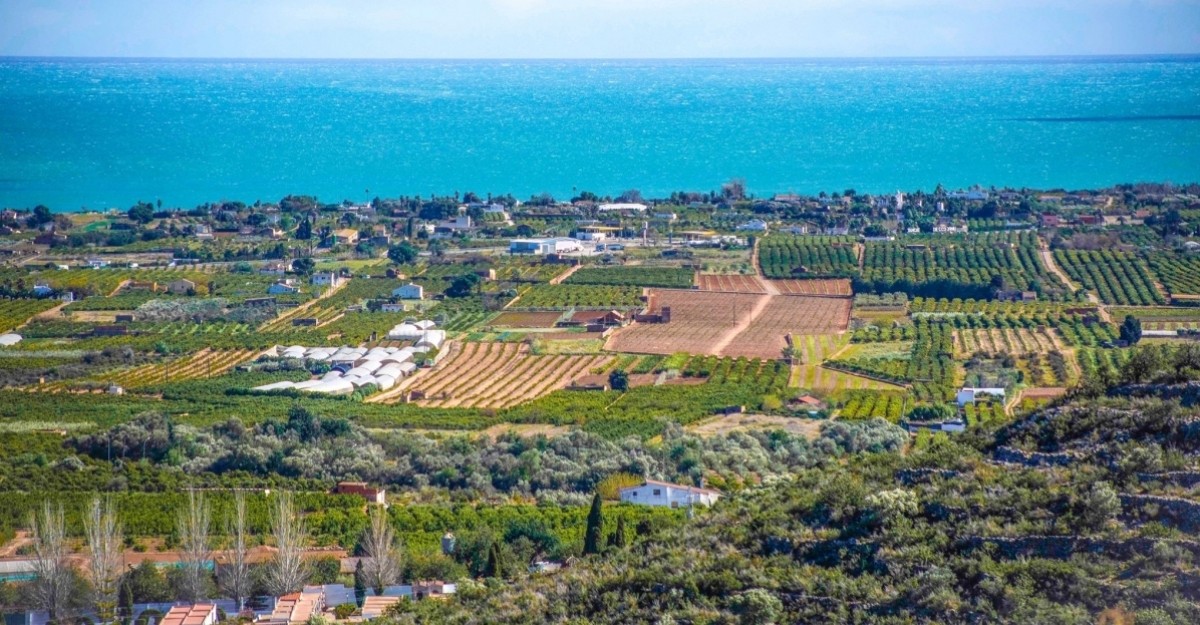 Alcanar, Les Cases i Alcanar Platja, jard� vora mar | EbreActiu.cat, revista digital d&rsquo;oci actiu | Terres de l&rsquo;Ebre ...