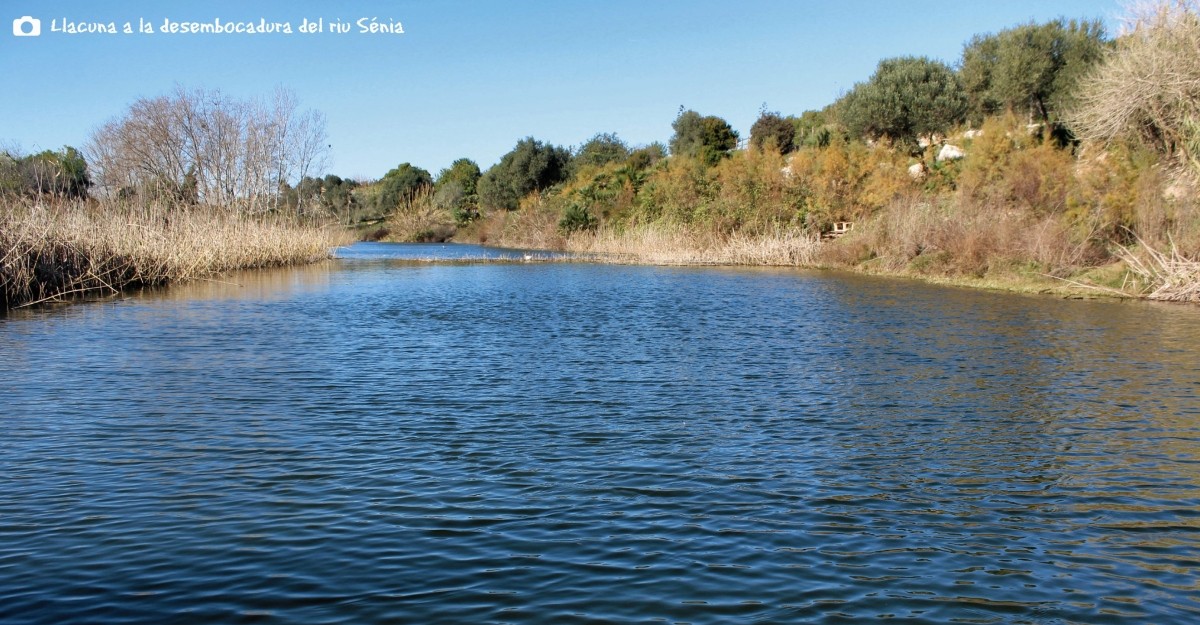 Alcanar, Les Cases i Alcanar Platja, jard vora mar | EbreActiu.cat, revista digital d’oci actiu | Terres de l’Ebre ...
