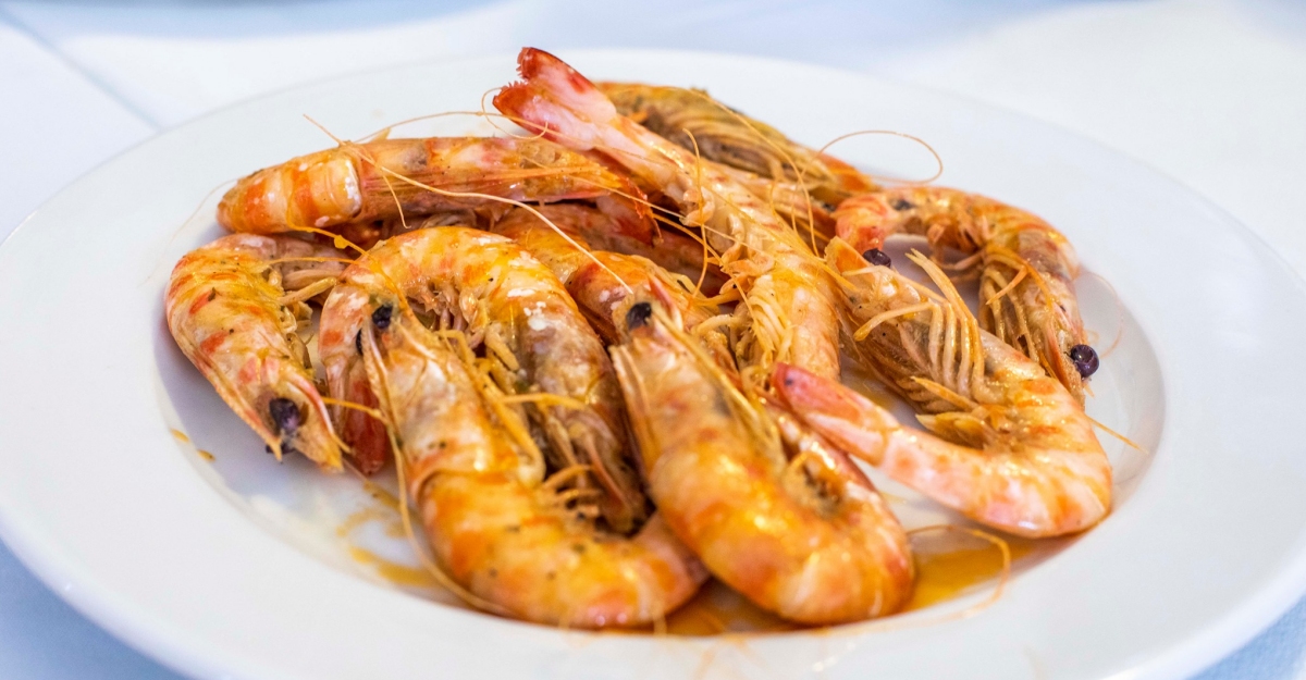 Alcanar, Les Cases i Alcanar Platja, jard� vora mar | EbreActiu.cat, revista digital d&rsquo;oci actiu | Terres de l&rsquo;Ebre ...