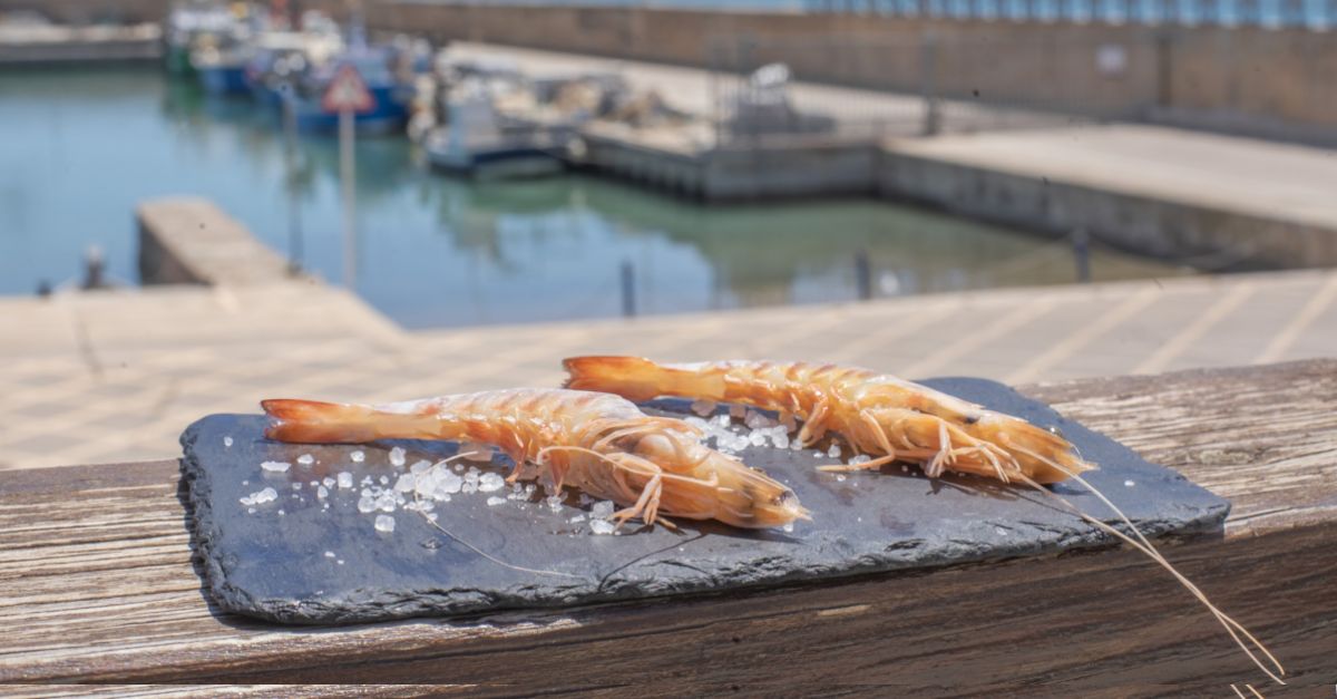 Alcanar prepara les XII Jornades Gastronmiques del Llagost , una cita ineludible per als amants de la gastronomia | EbreActiu.cat, revista digital d’oci actiu | Terres de l’Ebre ...