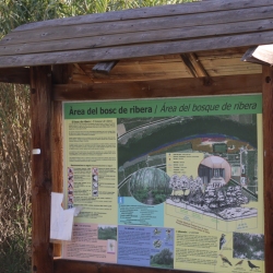 Platja fluvial i el Bosc de Ribera d&rsquo;Aldover