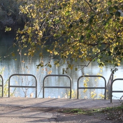 Platja fluvial i el Bosc de Ribera d&rsquo;Aldover