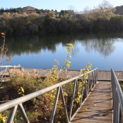 Platja fluvial i el Bosc de Ribera d&rsquo;Aldover