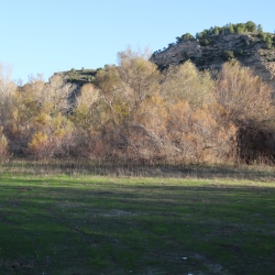 Platja fluvial i el Bosc de Ribera d&rsquo;Aldover