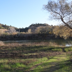 Platja fluvial i el Bosc de Ribera d&rsquo;Aldover