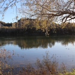 Platja fluvial i el Bosc de Ribera d&rsquo;Aldover