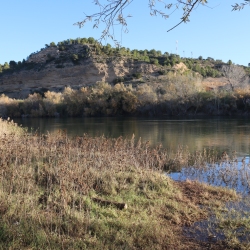 Platja fluvial i el Bosc de Ribera d&rsquo;Aldover