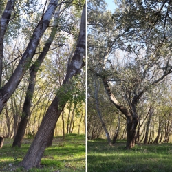 Platja fluvial i el Bosc de Ribera d&rsquo;Aldover