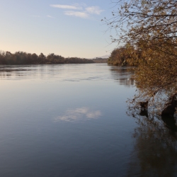Platja fluvial i el Bosc de Ribera d&rsquo;Aldover