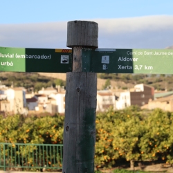 Platja fluvial i el Bosc de Ribera d&rsquo;Aldover