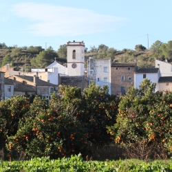 Platja fluvial i el Bosc de Ribera d&rsquo;Aldover
