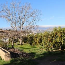 Platja fluvial i el Bosc de Ribera d&rsquo;Aldover