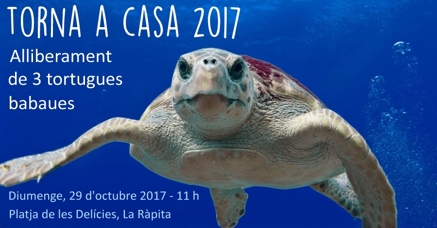 Torna a Casa 2017. Alliberament de 3 tortugues marines Torna a Casa 2017. Alliberament de 3 tortugues marines
