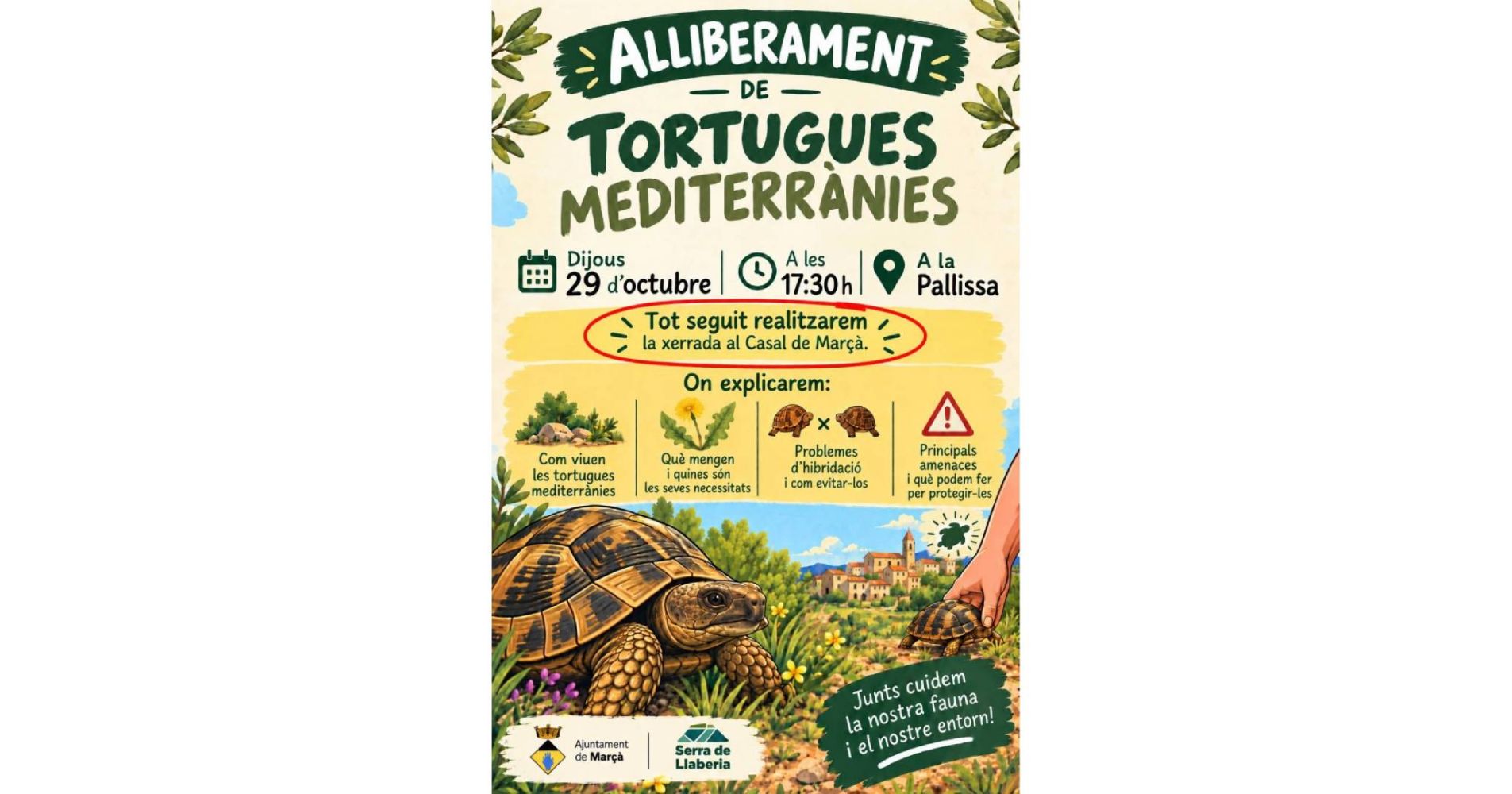 Alliberament de tortugues mediterr�nies i xerrada