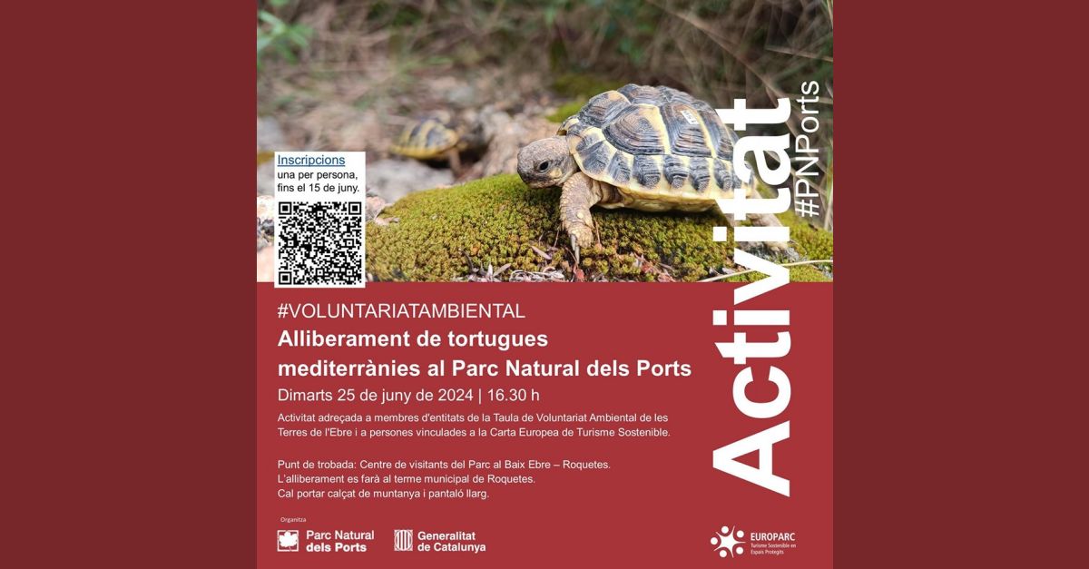 Liberaci�n de tortugas mediterr�neas en el Parque Natural de Els Ports