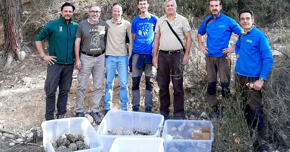 Alliberades una seixantena de tortugues mediterr�nies al Parc Natural de la Serra de Montsant | EbreActiu.cat, revista digital d&rsquo;oci actiu | Terres de l&rsquo;Ebre ...