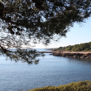 �lbum: Desde L&rsquo;Ametlla hasta L&rsquo;Ampolla por el GR-92