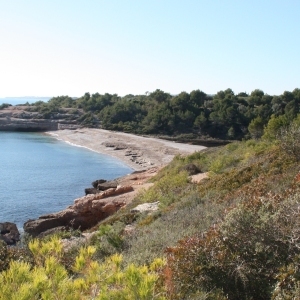 lbum: Des de l’Ametlla fins l’Ampolla pel GR-92